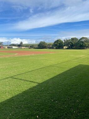 Outdoor Green Turf Mat for Home Games